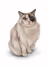 Load image into Gallery viewer, Colour pet portrait - Beautiful cat drawing - Color drawing -drawings and portraits from your photos - drawking.com - Drawking