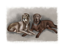 Load image into Gallery viewer, Colour pet portrait with pattern background - Two dogs drawn - drawings and portraits from your photos - drawking.com - Drawking
